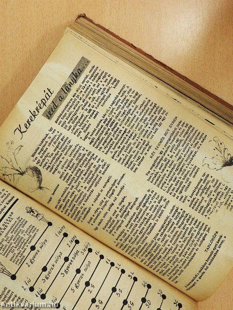 Élet és Tudomány 1949. (nem teljes évfolyam)