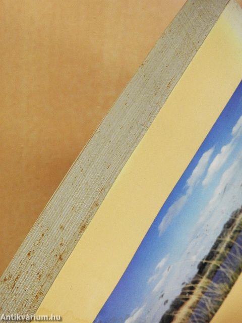 A porba hullott gyöngyszem