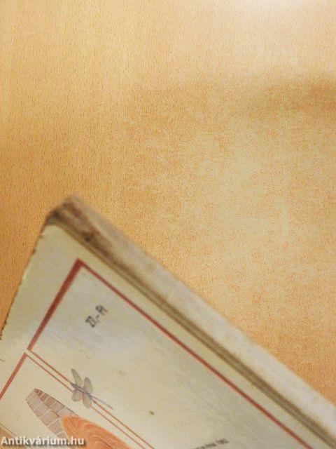 Séta az állatkertben