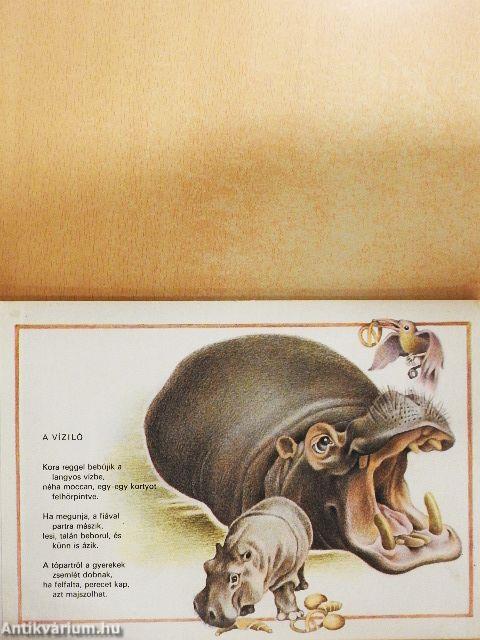 Séta az állatkertben