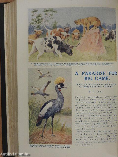 Pearson's Magazine 1910. (nem teljes évfolyam) I-II.