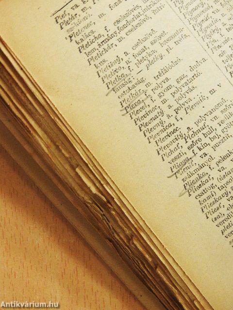 Tót és magyar szótár I.