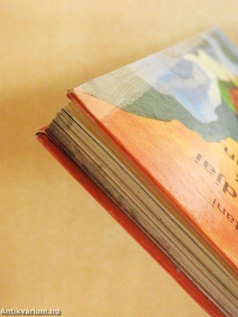 Táró kalandjai a hegyek országában