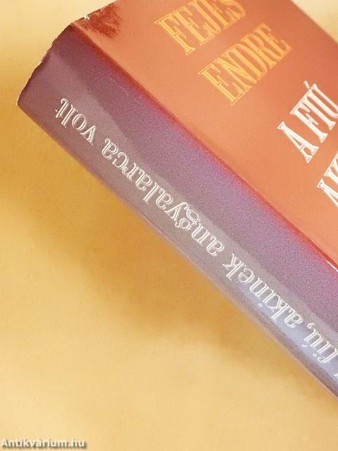 A fiú, akinek angyalarca volt