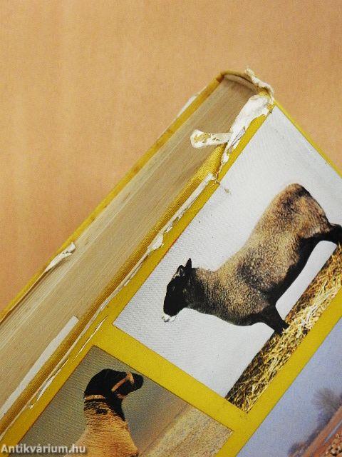 Juhtenyésztők kézikönyve