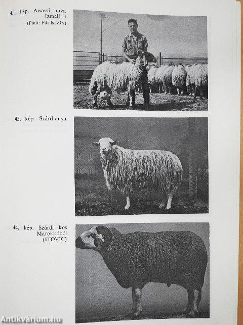 Juhtenyésztők kézikönyve