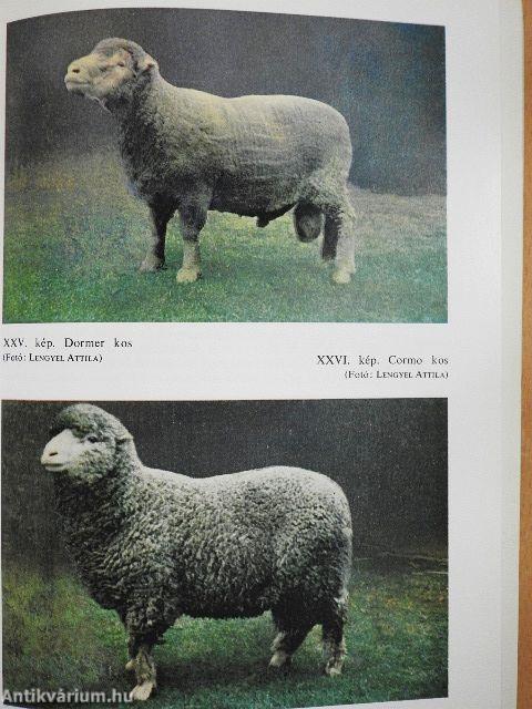 Juhtenyésztők kézikönyve