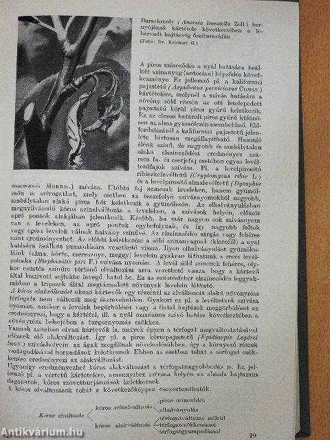 Kertészeti növények állati kártevői