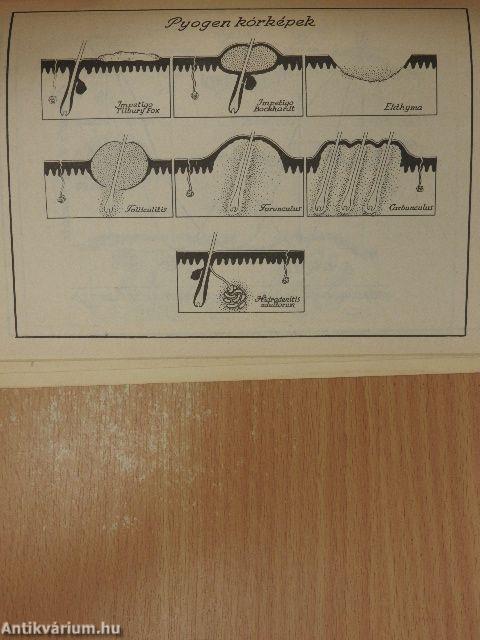 Bőrgyógyászati jegyzet