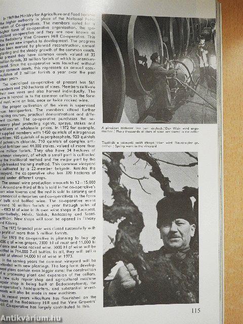 Veszprém megye bemutatkozik