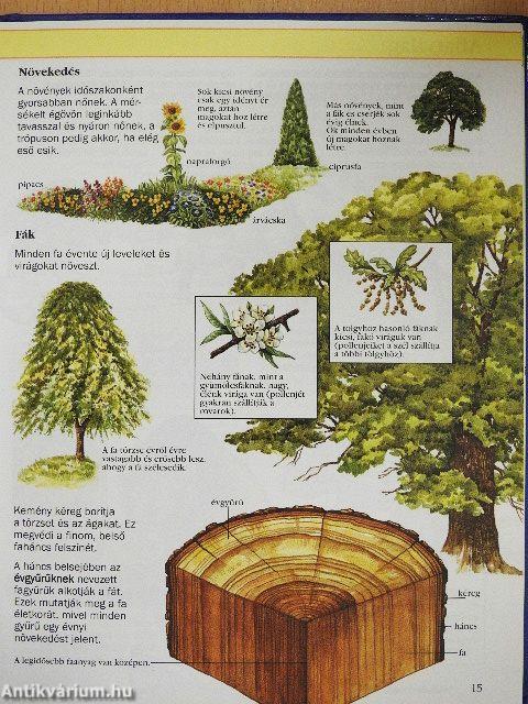 Az élővilág kisenciklopédiája