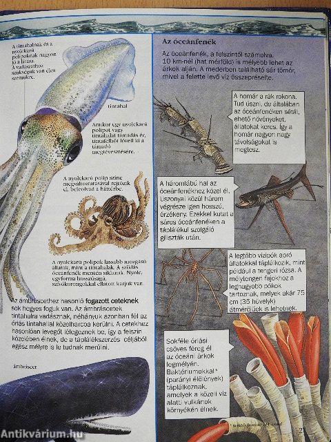 Az élővilág kisenciklopédiája