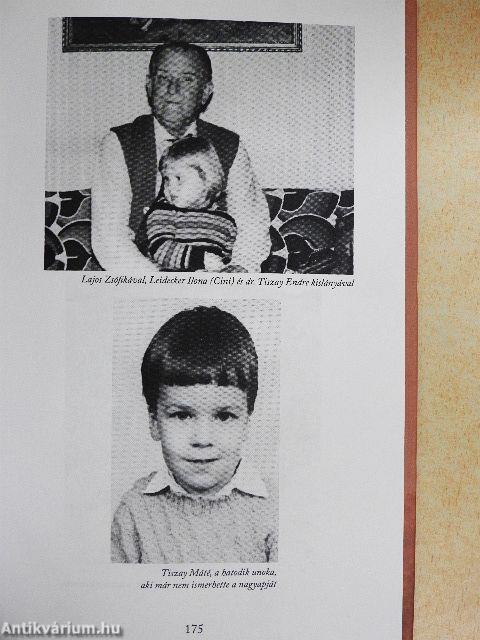 Aranyat termő alkonyat