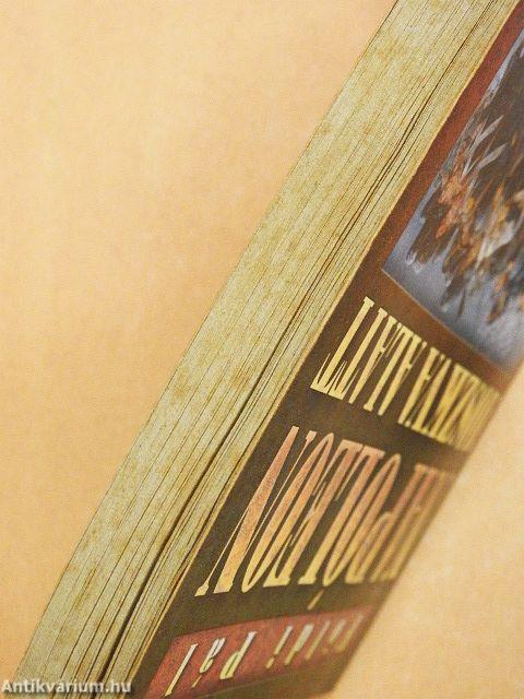 Napóleon Moszkva alatt/Hitler Moszkva alatt