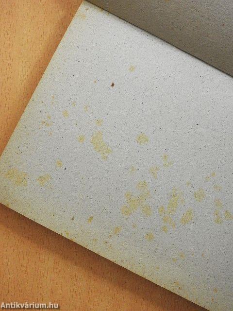 Napóleon Moszkva alatt/Hitler Moszkva alatt