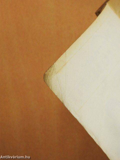 A kiközösitett I-III.