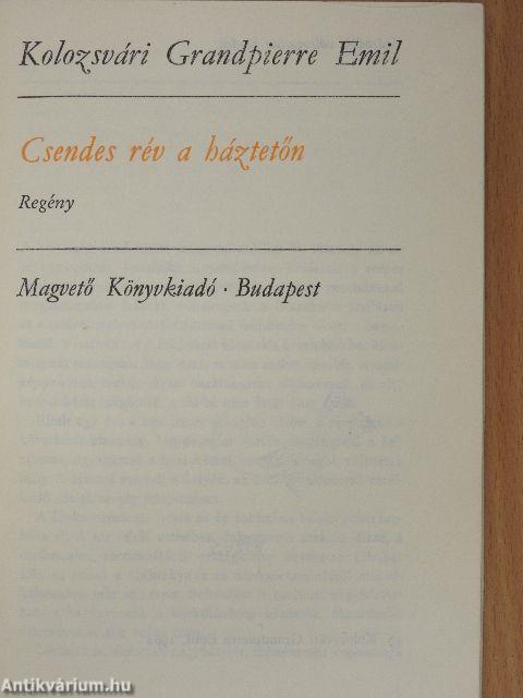 Csendes rév a háztetőn