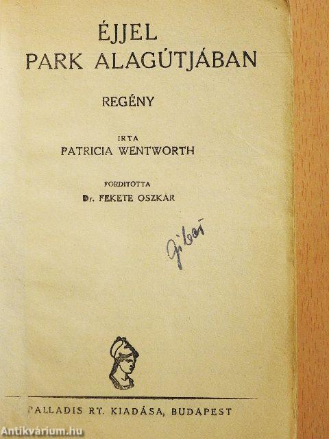 Éjjel a park alagútjában