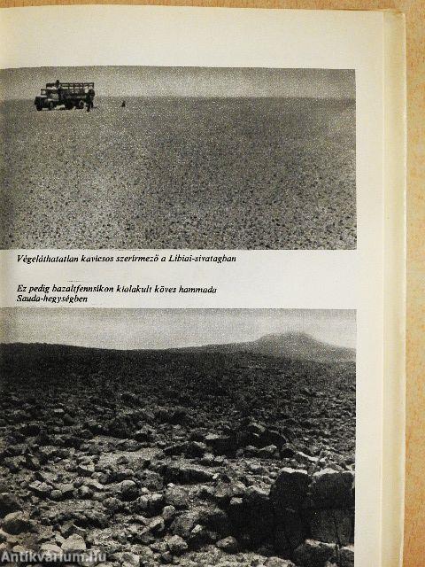 Kölcsönautóval a Szaharában