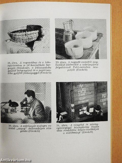 A burgonyafonálféreg