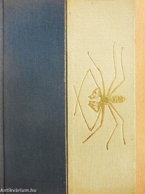 Kalandok a brazíliai őserdőben