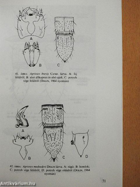 A mezőgazdaságilag művelt talajok gyakori rovarlárváinak határozója