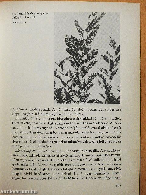 Üzemi gyümölcsösök növényvédelme