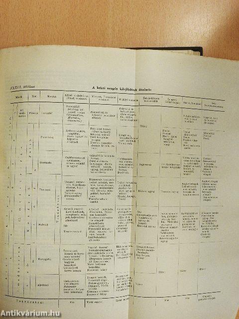 Földtörténet és földfejlődés