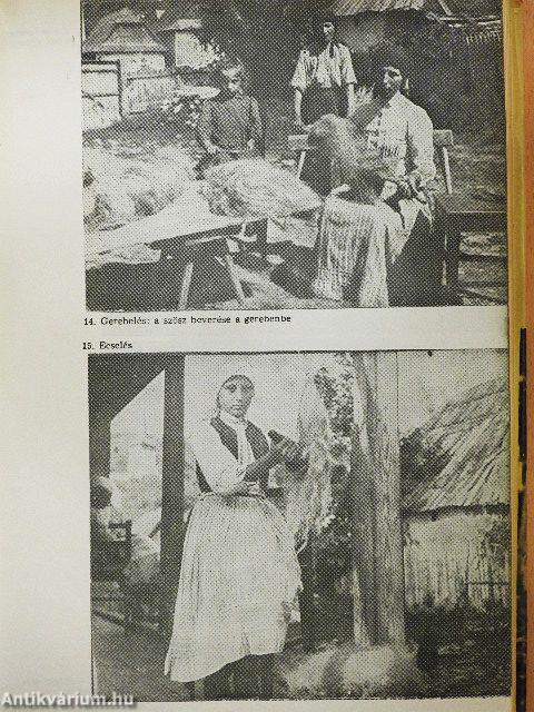 Néprajzi és nyelvjárási tanulmányok