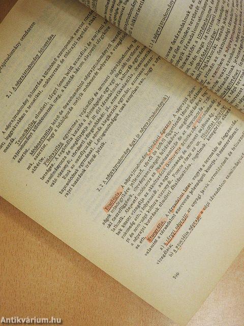 Könyvtári tájékoztatás II.