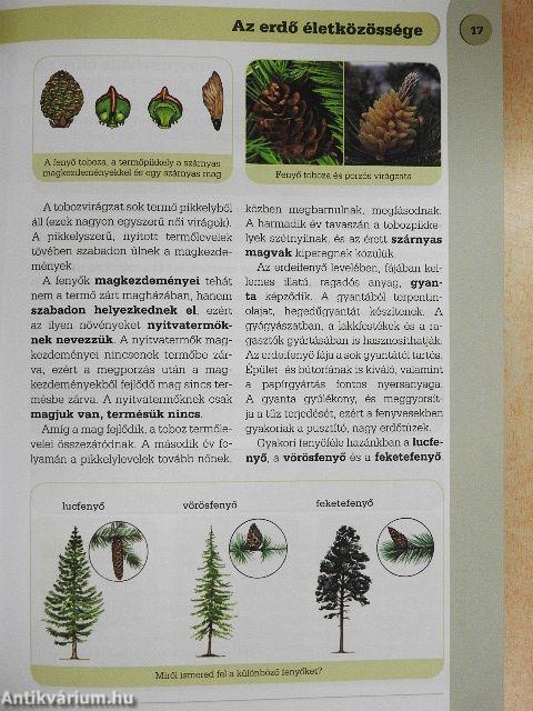 Természetismeret 6.