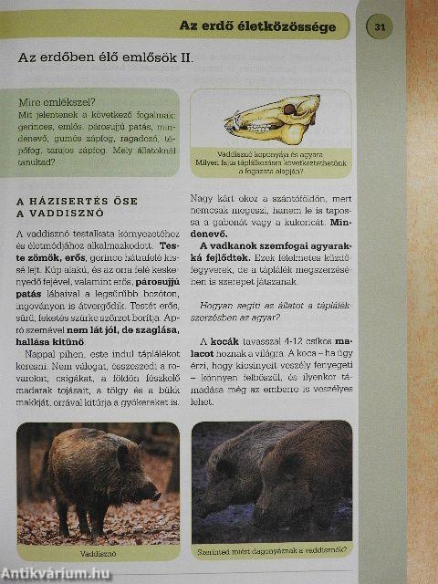 Természetismeret 6.