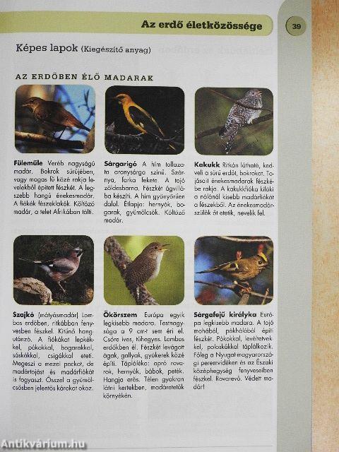 Természetismeret 6.