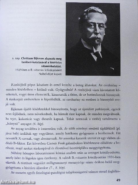 Az élet aminjai a vitaminok