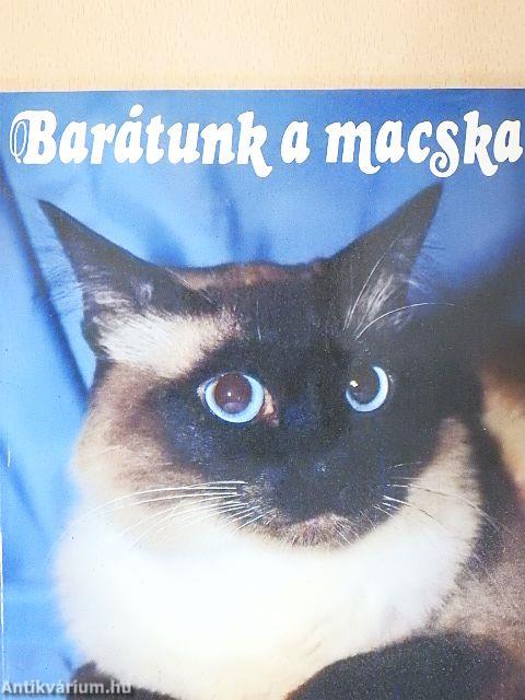 Barátunk a macska