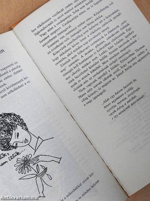 Mi illik, mi nem illik?