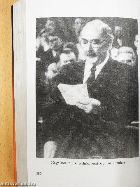 Nagy Imre és kora I.