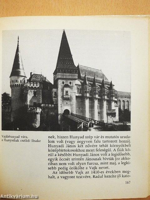 Nándorfehérvár, 1456