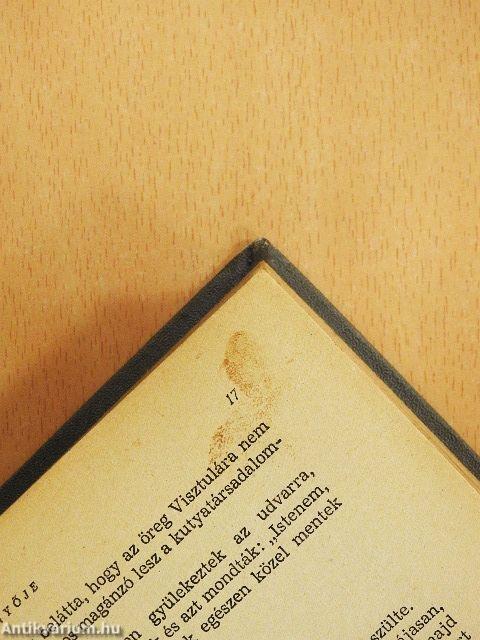 Szent Péter esernyője/Akli Miklós