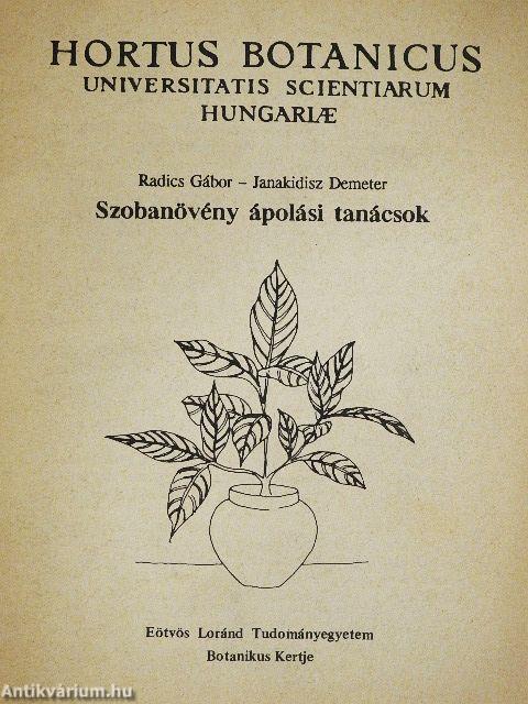 Szobanövény ápolási tanácsok