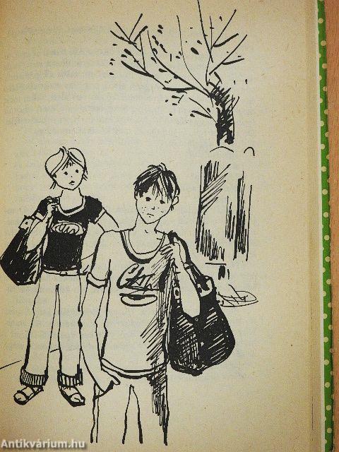 Anonymus diplomatatáskával