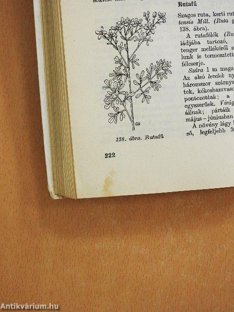 Gyógyító növények