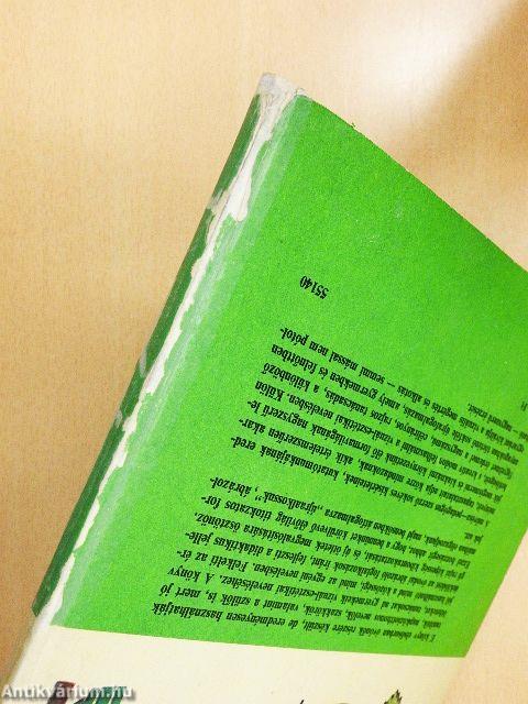 Praktikus ábrázolás az óvodában