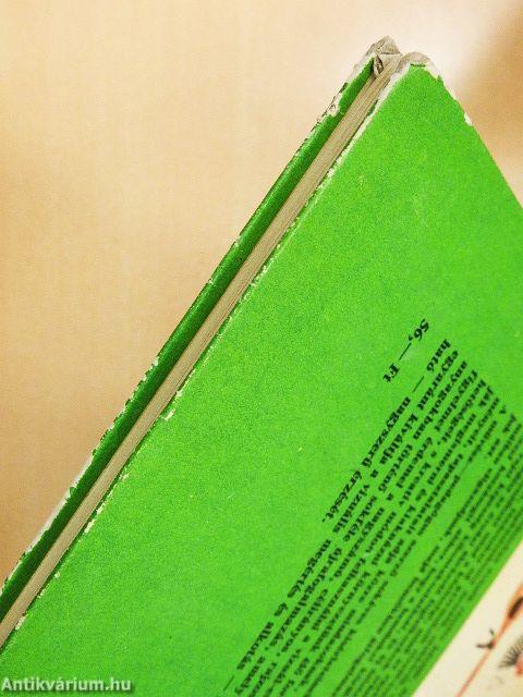 Praktikus ábrázolás az óvodában