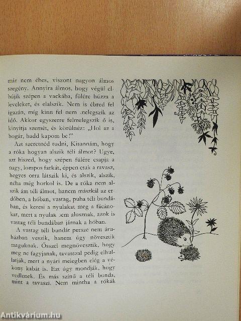 Kisanna Kertországban