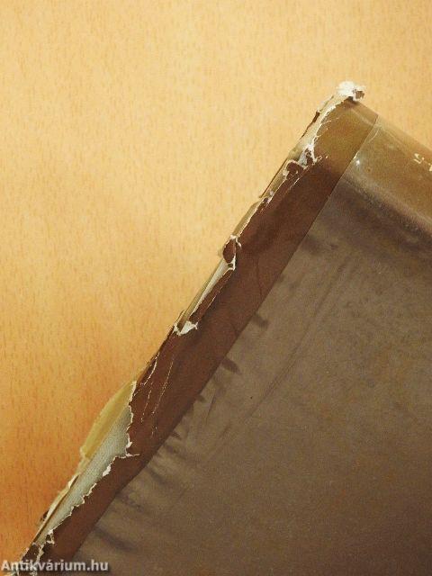 A magyarországi művészet története 2.