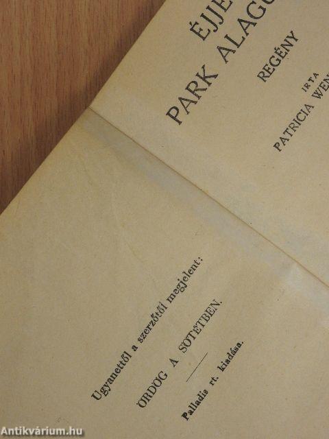 Éjjel a park alagútjában