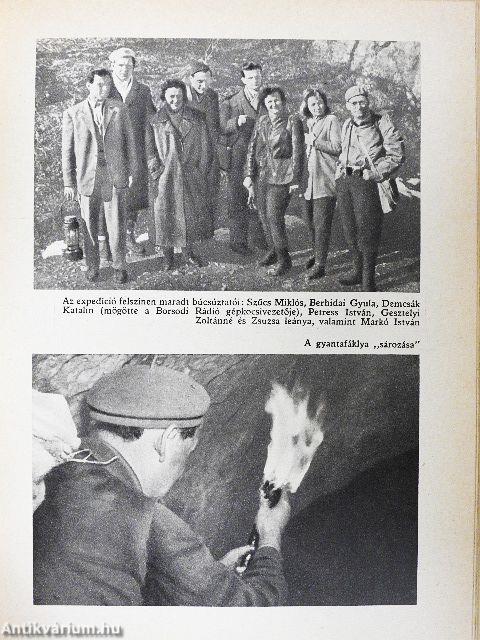 A faggyúfáklyás expedíció