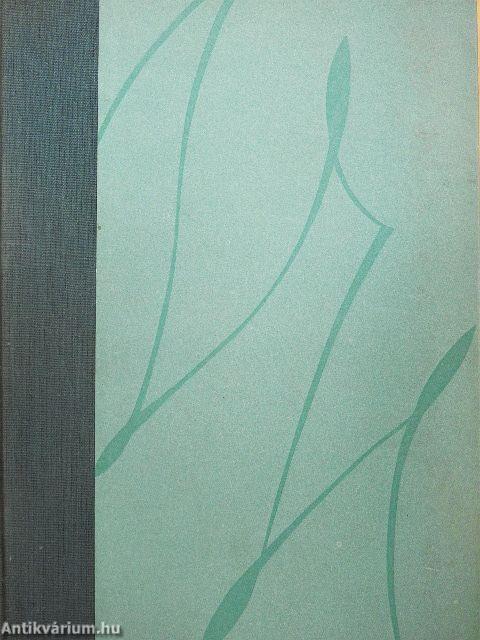 A párizsi Notre-Dame