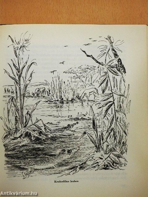 Az állatok fegyverei